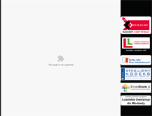Tablet Screenshot of consultor.pl
